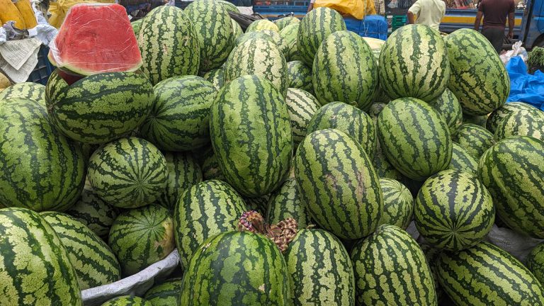 রাজধানীর বাজারে ভরপুর তরমুজ, এত এলো কোথা থেকে?